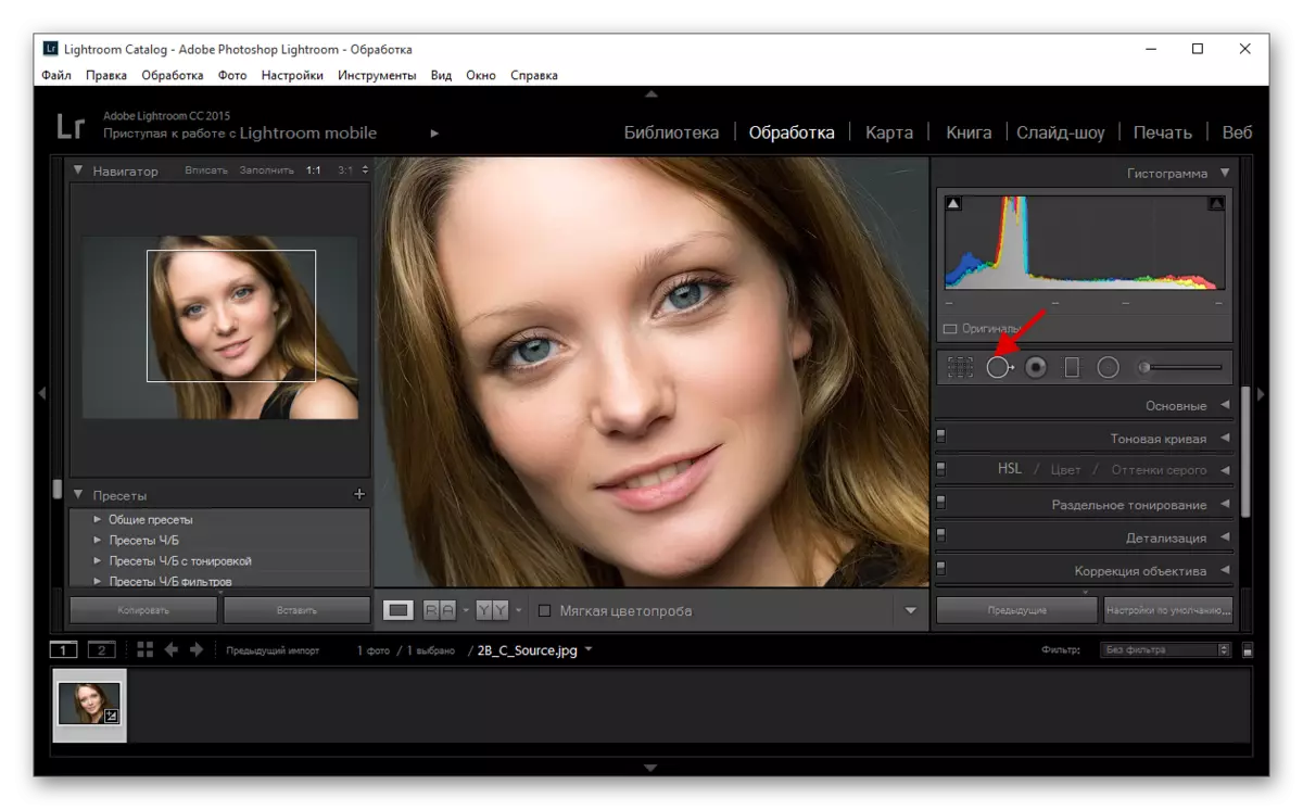 Eliminar les taques eina d'aplicació en Adobe Photoshop Lightroom