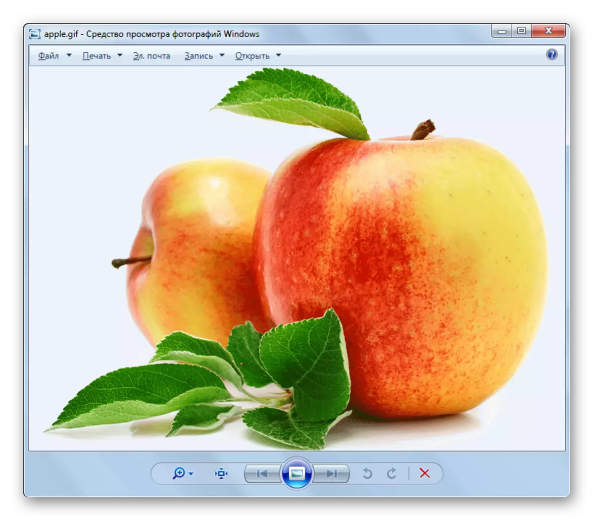 GIF faylı standart Windows görüntü görüntü agentində açıqdır