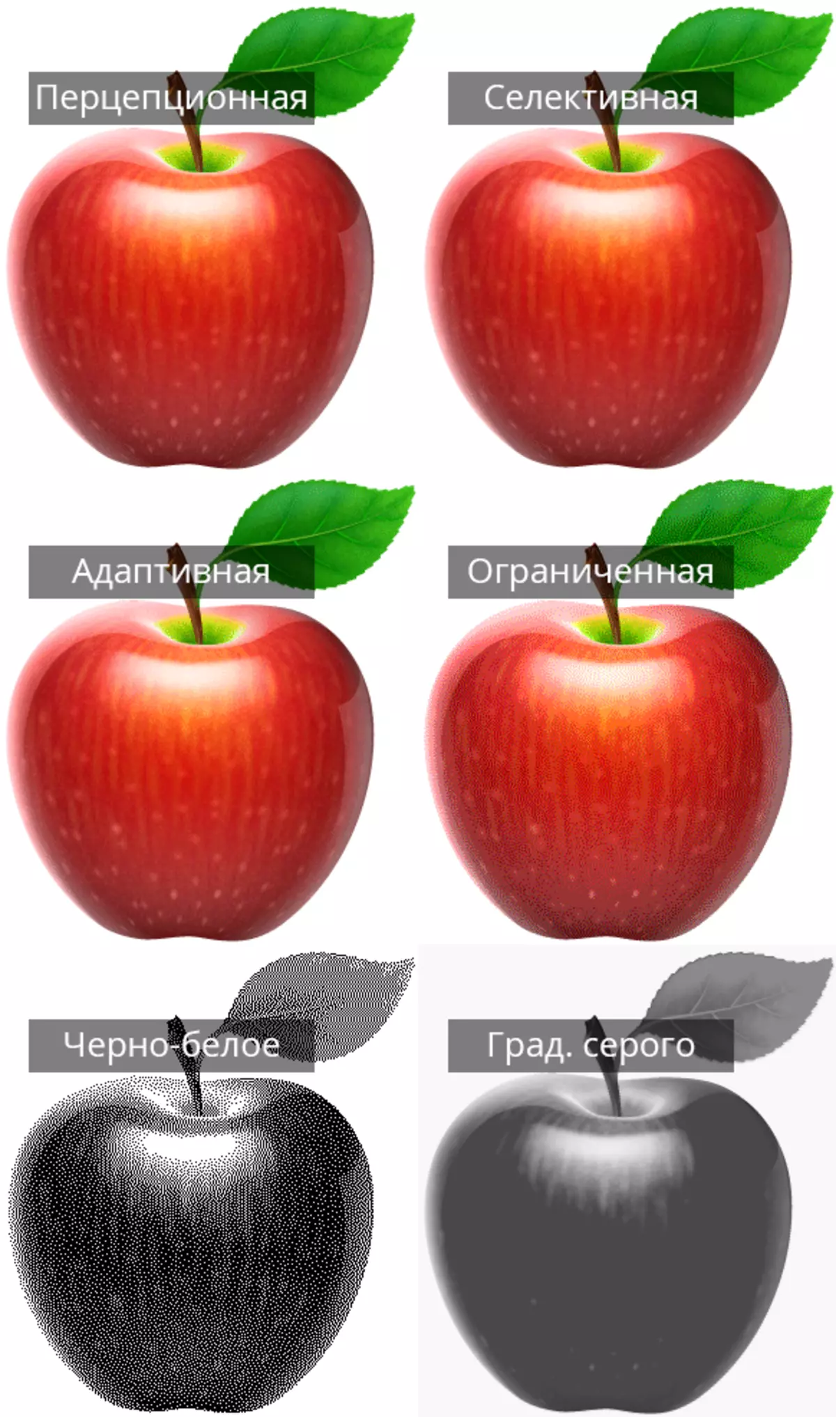 Kuvanäytteet, joissa käytetään erilaisia ​​värejä indeksointitaulukoita säilyttäen GIF: t Photoshopissa