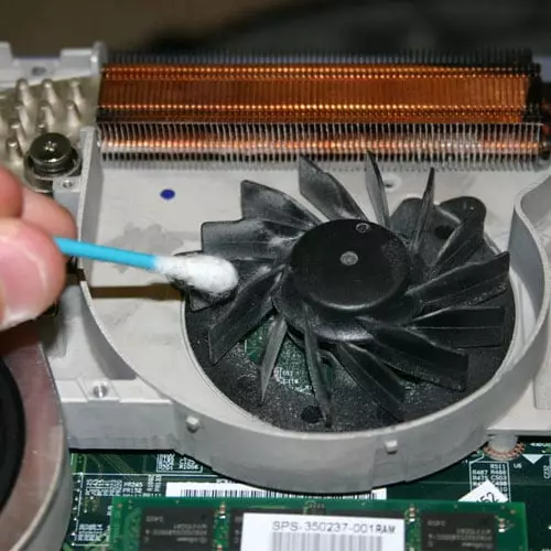 Cleaning cooler