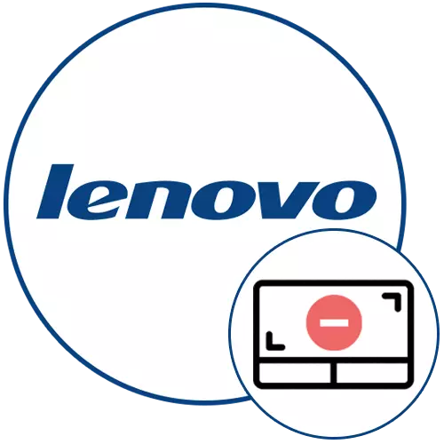 TouchPad არ მუშაობს Lenovo ლეპტოპზე