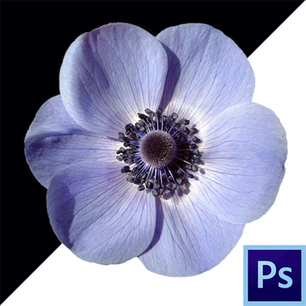How to remove black background in photoshop