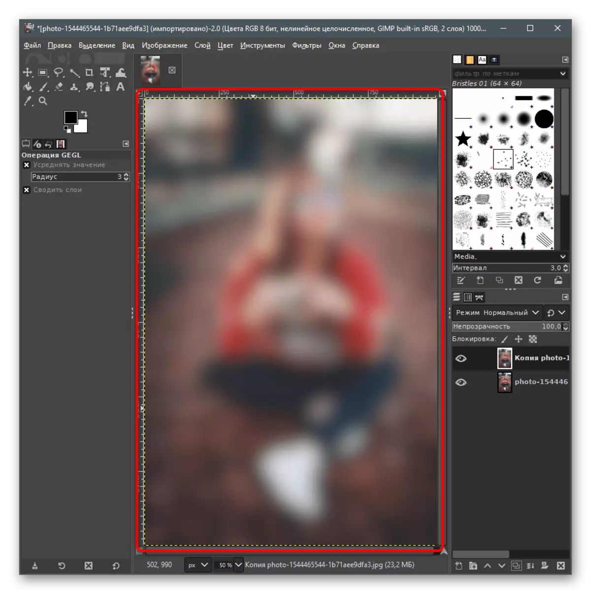 Controllo del risultato del filtro selezionato per sfocare lo sfondo posteriore nella foto in Gimp