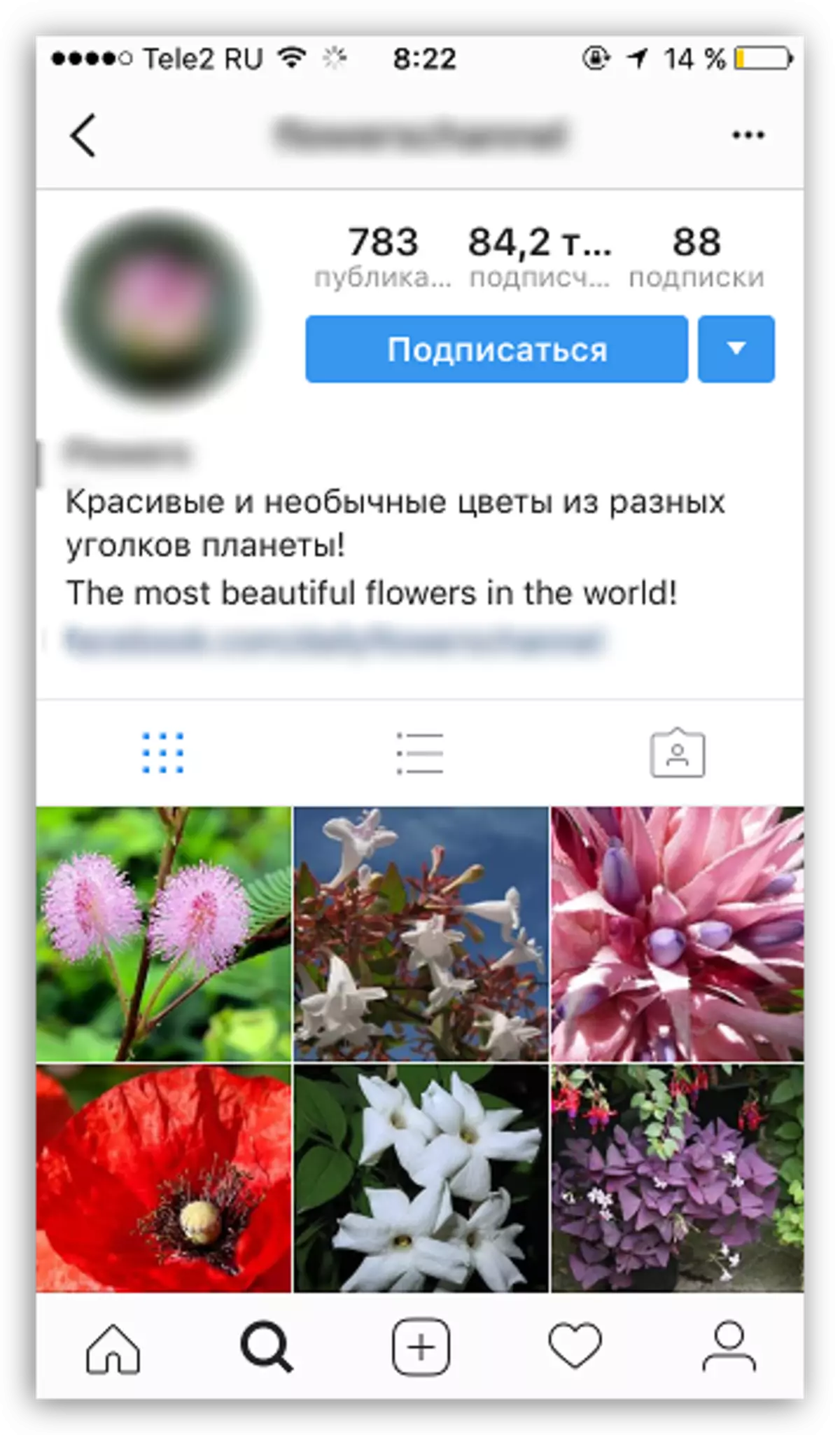 Как подписать фото с цветами в инстаграме