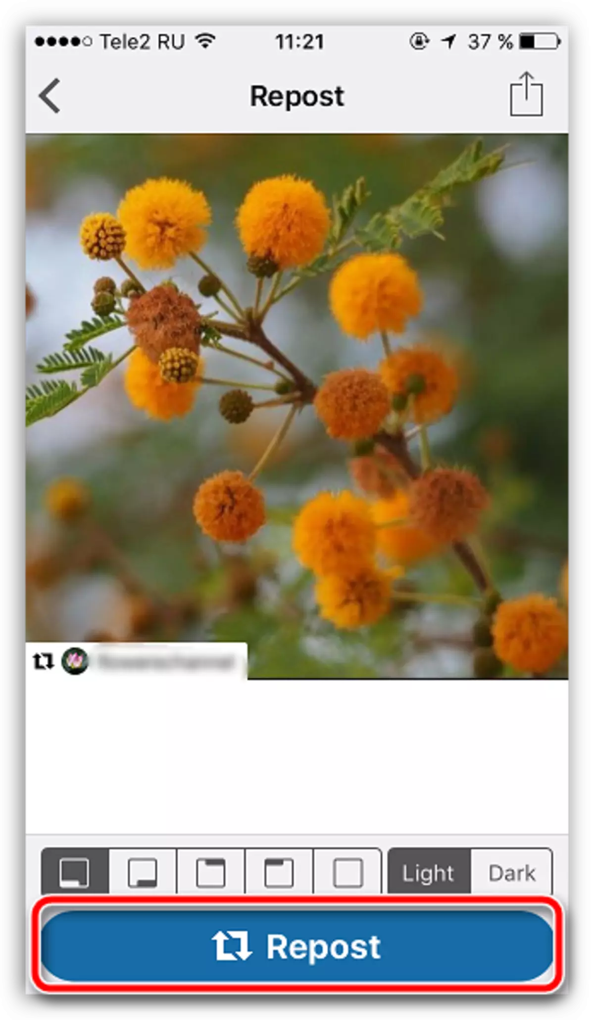 Repost antre nan Instagram via instarpost