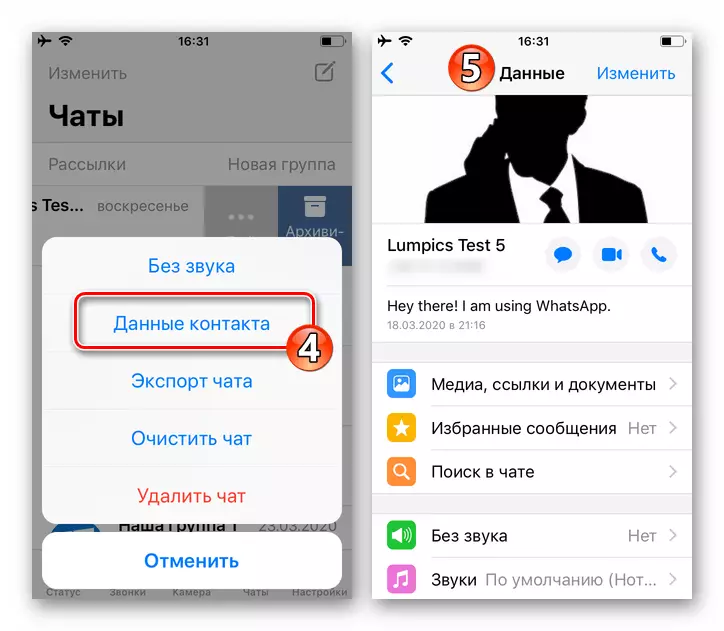WhatsApp para iPhone item de contato dados no menu mais bate-papo
