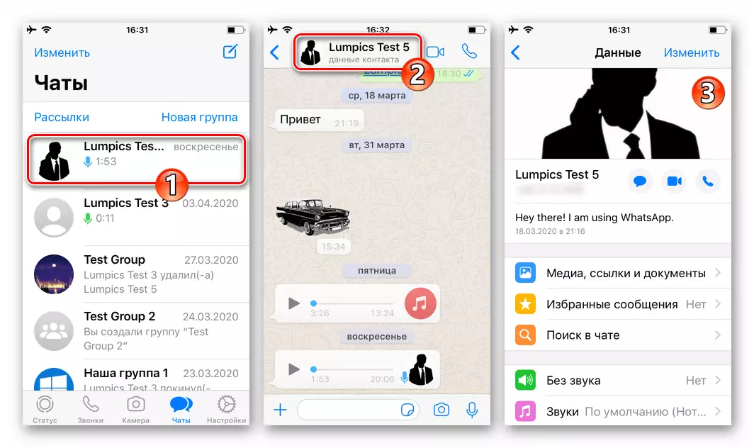 WhatsApp pro iPhone Přejít do kontaktních dat na obrazovce chatu s ním