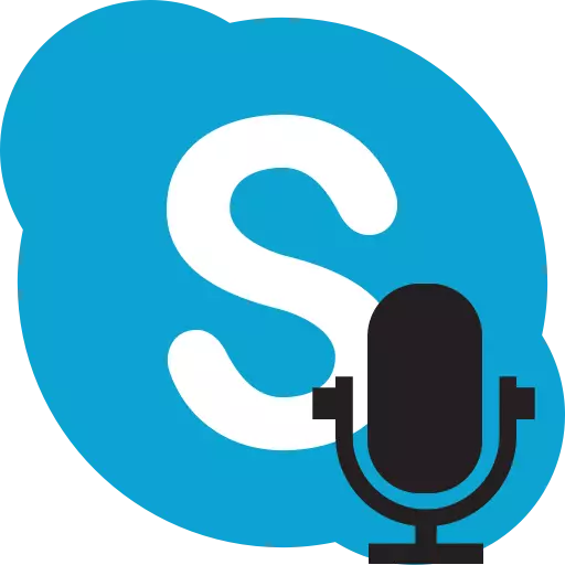 Sound-opname-apparaat yn Skype