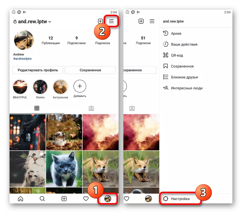 Go to section with settings in Instagram Appendix