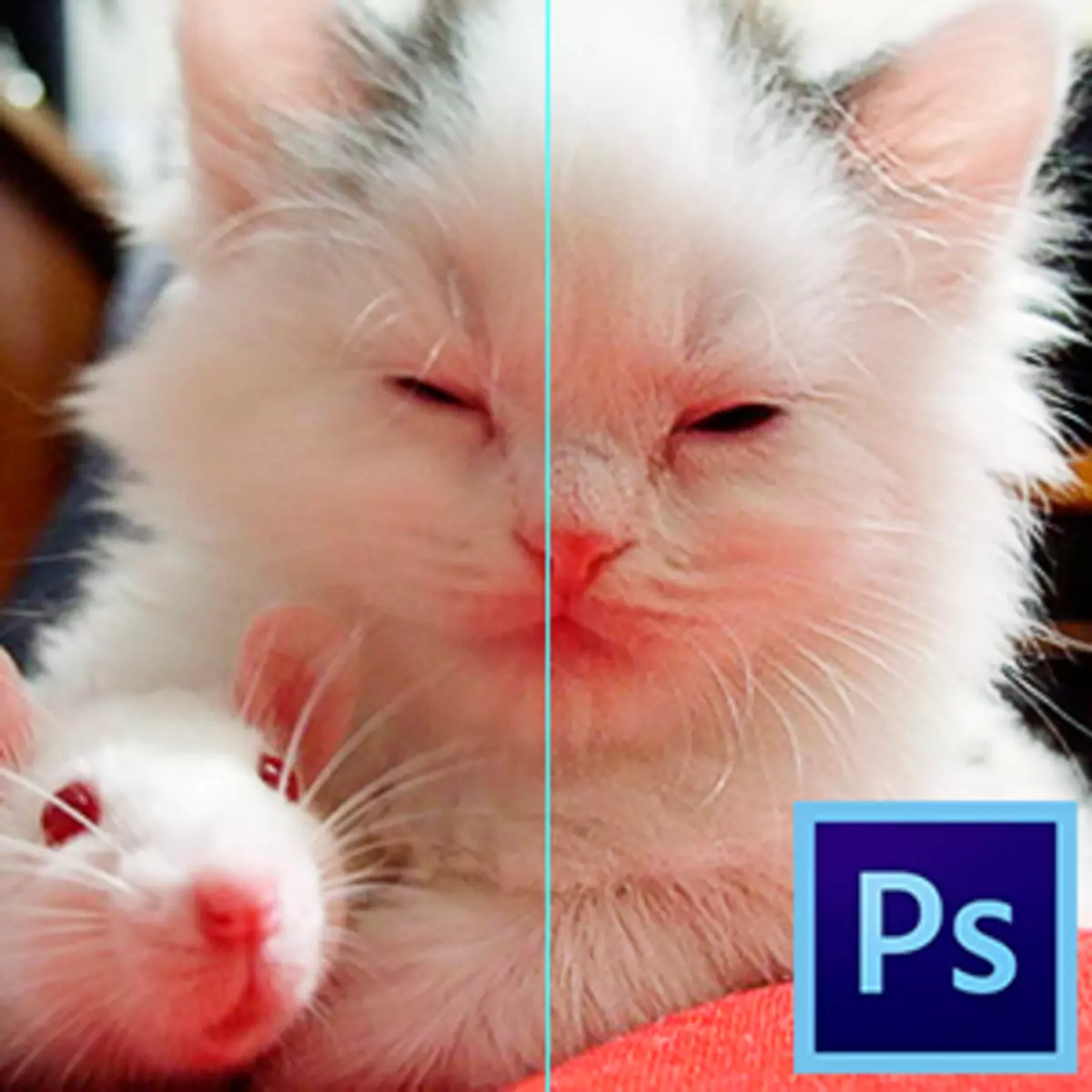 如何增加Photoshop中的锐度（2）
