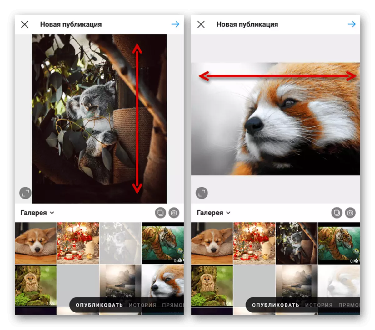 Instagramアプリケーションとしての画像のアスペクト比を設定する例
