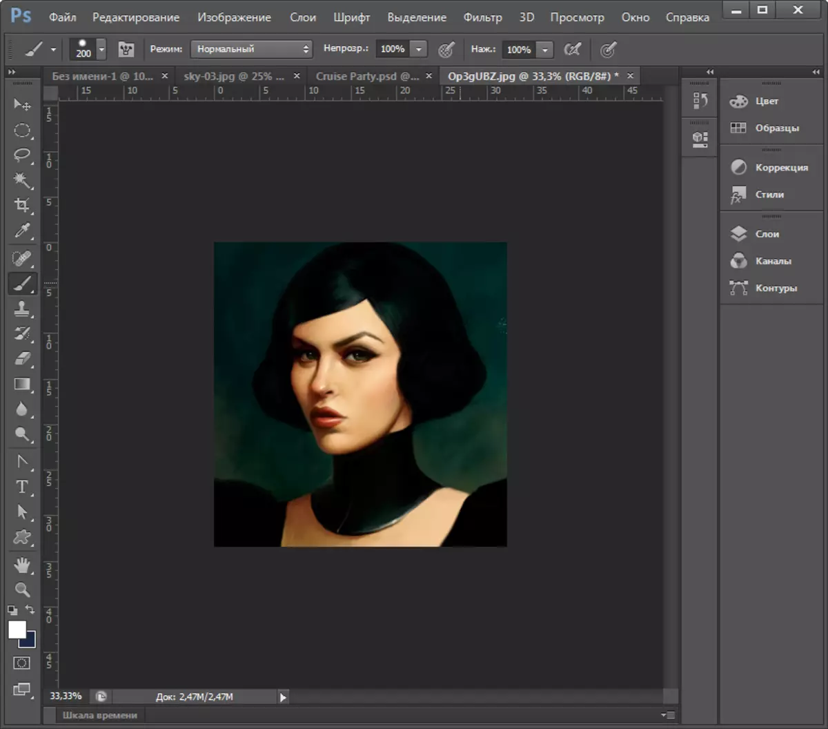 Corel Draw 또는 Adobe Photoshop 6.