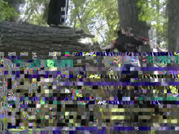 Sugadintas vaizdo įrašas KMPlayer