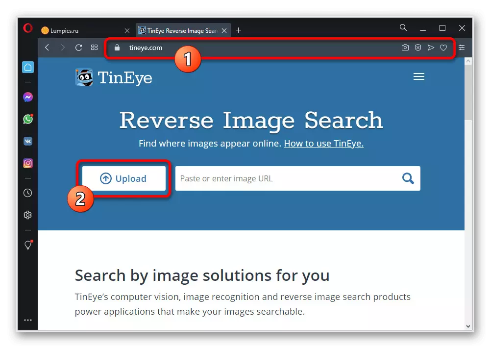 Engadindo unha imaxe para buscar Instagram no sitio web de busca de Tineye