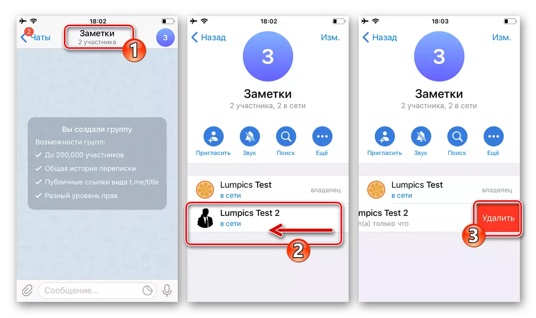 Telegram foar iOS Deleting in brûker út groepchat in boadskipper