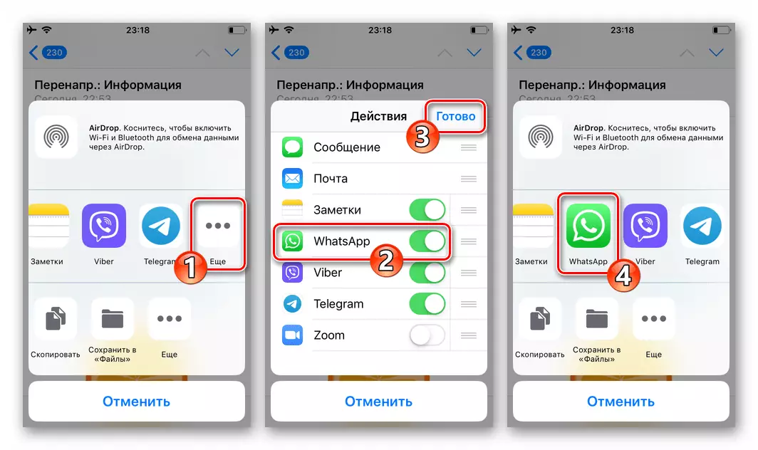 WhatsApp pour l'activation de l'iPhone de l'affichage du messager dans le panneau Envoyer iOS