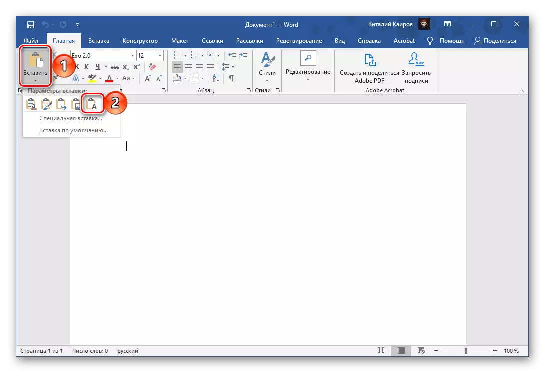 Insert only text in the document in the Microsoft Word program