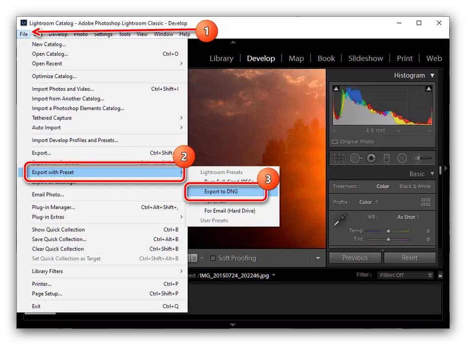 Guardar ajustes preestablecidos como DNG en Adobe Lightroom Classic para exportar en Mobile