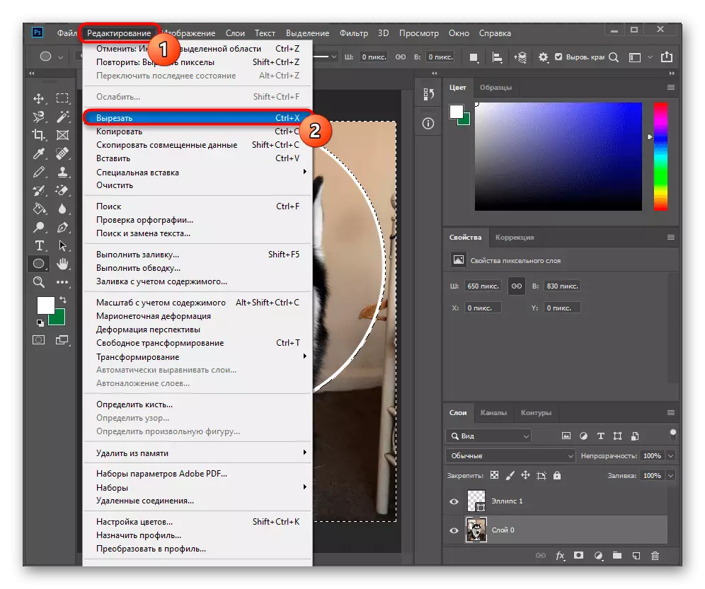 Řezání obrácené vrstvy přes panel nástrojů při řezání kruhu v Adobe Photoshopu