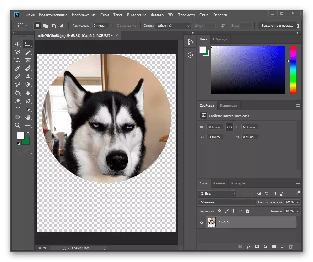 Adobe Photoshop-en atzeko planoko irudiaren zirkulu ebaki baten emaitza