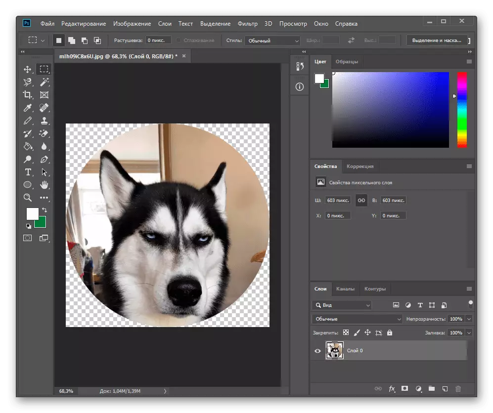 Resultatet av en snittcirkel i Adobe Photoshop