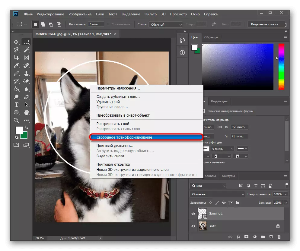 Calling Tool Trasformazione libera per modificare le dimensioni dello stencil ellisse durante il taglio del cerchio in Adobe Photoshop