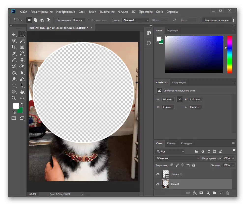 Removing the area under the circle in Adobe Photoshop