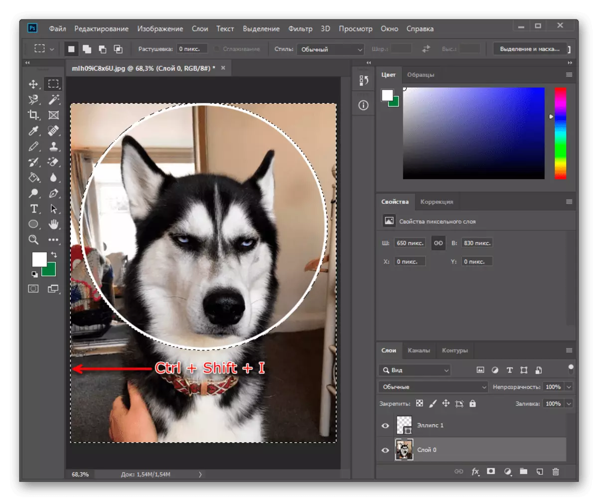 Резултатот од инверзијата на избраната површина преку топла клуч за намалување на кругот во Adobe Photoshop