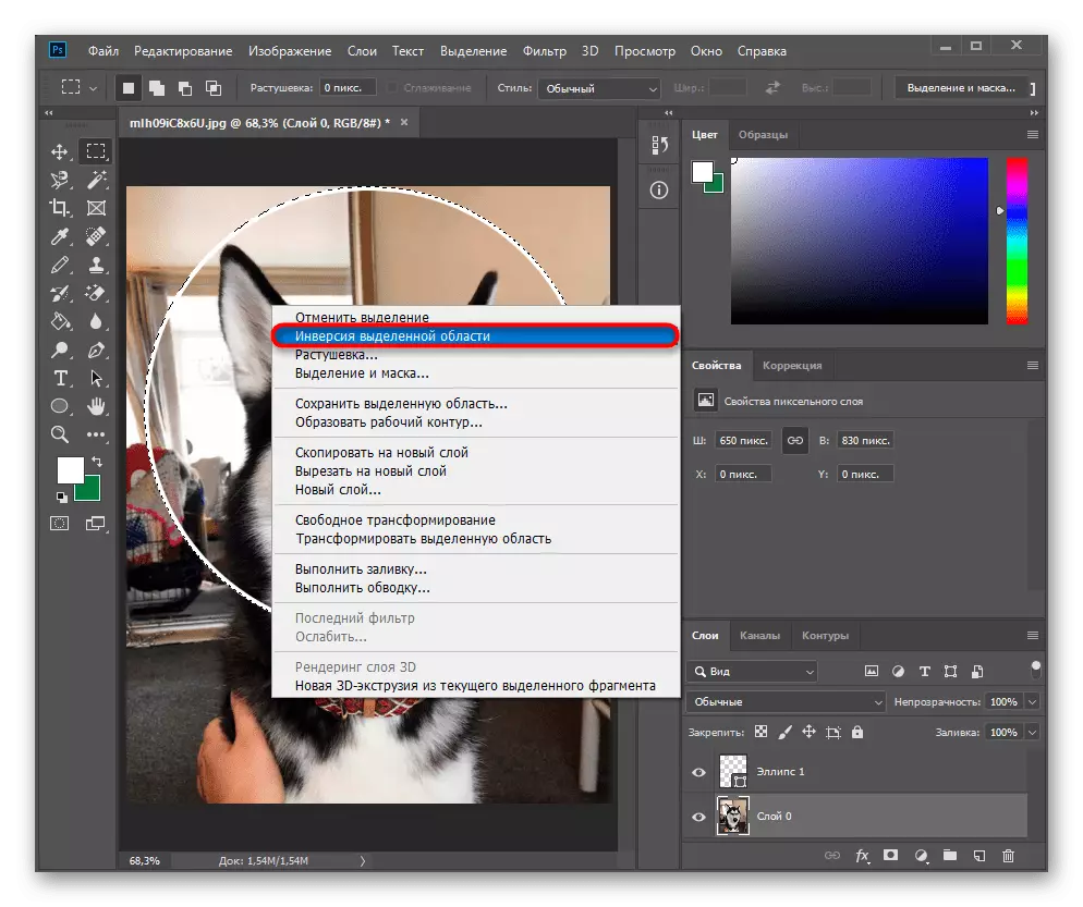 A kiválasztott terület inverziója a kontextus menüben az Adobe Photoshop körének vágásához