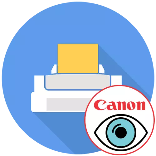 The computer does not see the Canon printer