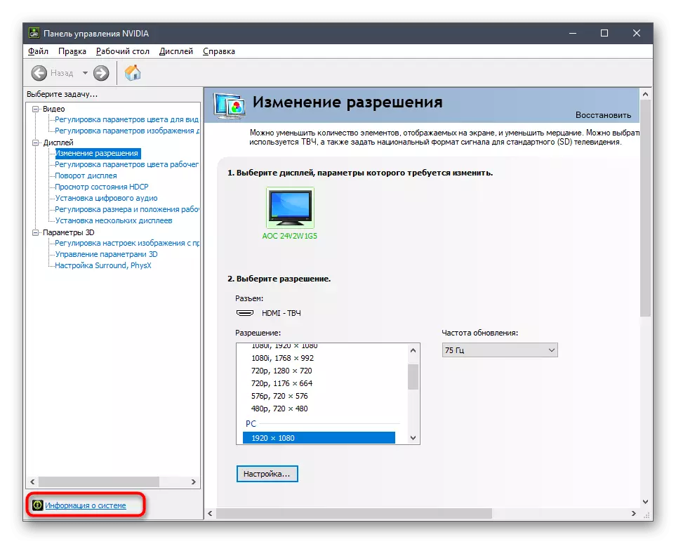 Gehen Sie zu Systeminformationen in der Grafikkartensteuerung, um seine Parameter in Windows 10 anzuzeigen
