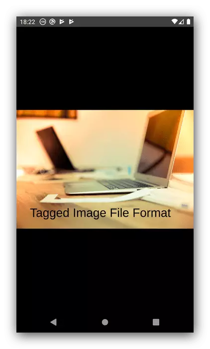 TIFF 사진 뷰어에서 전체 화면보기 파일 Android에서 TIFF를 열어주세요.