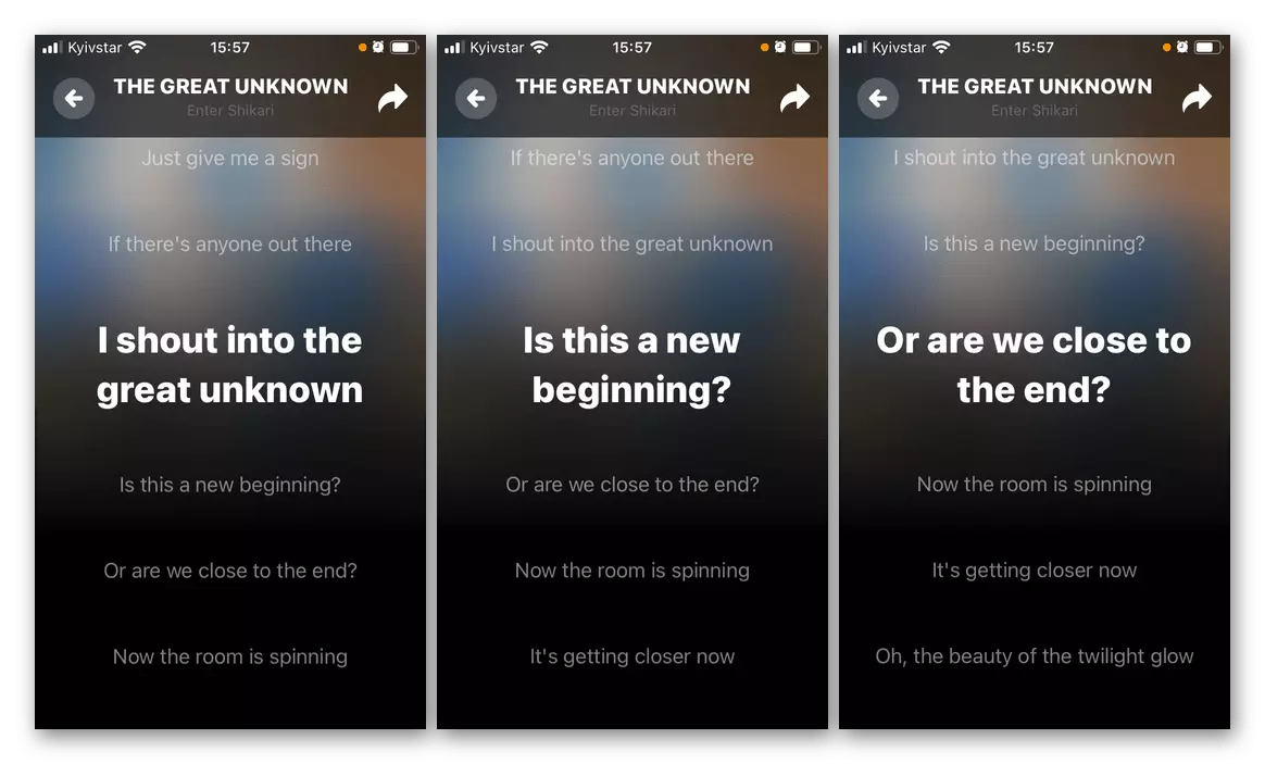Visualizzazione del testo della canzone nell'applicazione mobile Shazam su iPhone