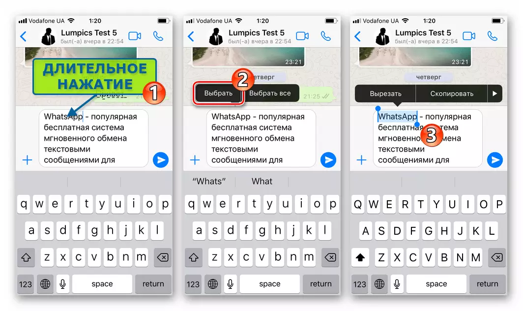 Whatsapp para sa pagpili ng Word ng iPhone sa mensahe sa pamamagitan ng menu ng konteksto
