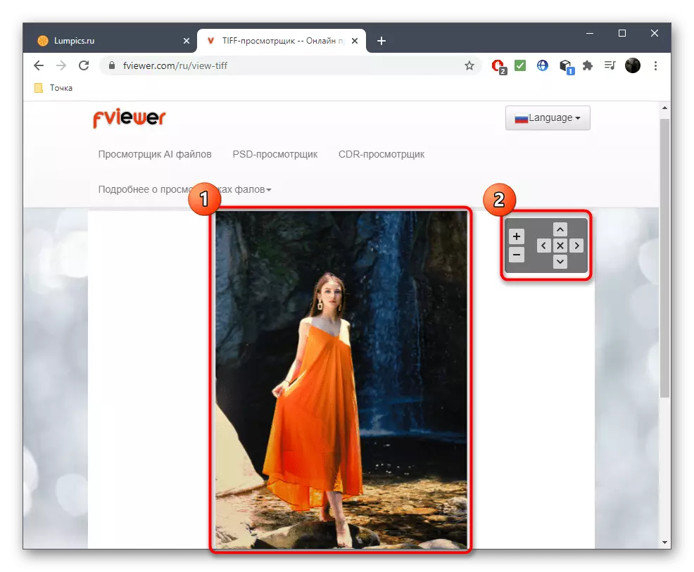 Escalament eines a l'visualitzar una imatge a través d'un servei en línia FVIEWER
