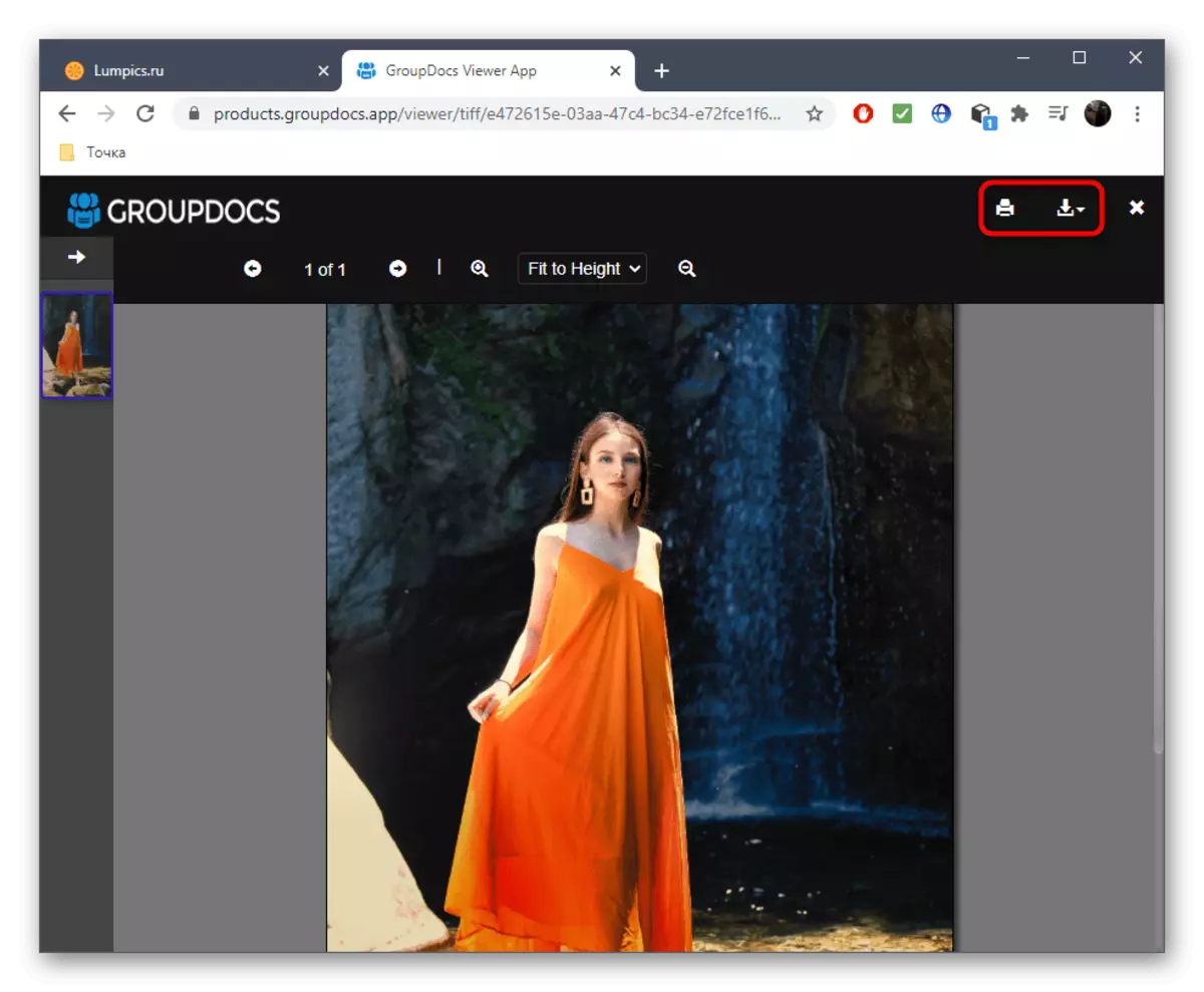 Sťahovanie alebo tlač zobrazeného obrazu cez Online GroupDocs Service