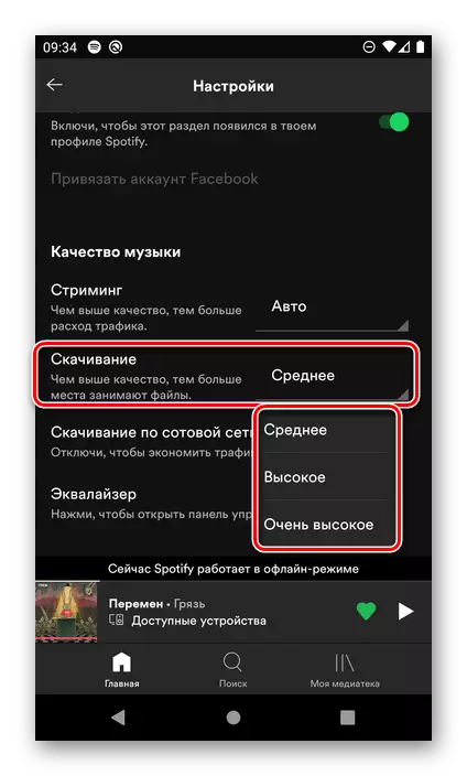 Вызначэнне якасці пампаванай музыкі ў наладах мабільнага прыкладання Spotify для Android