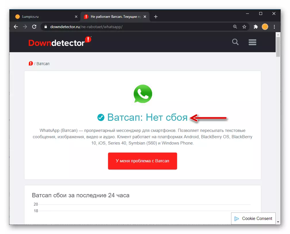 WhatsApp WebサイトDownDetector.ruはメッセンジャーに関する問題の欠如を述べています
