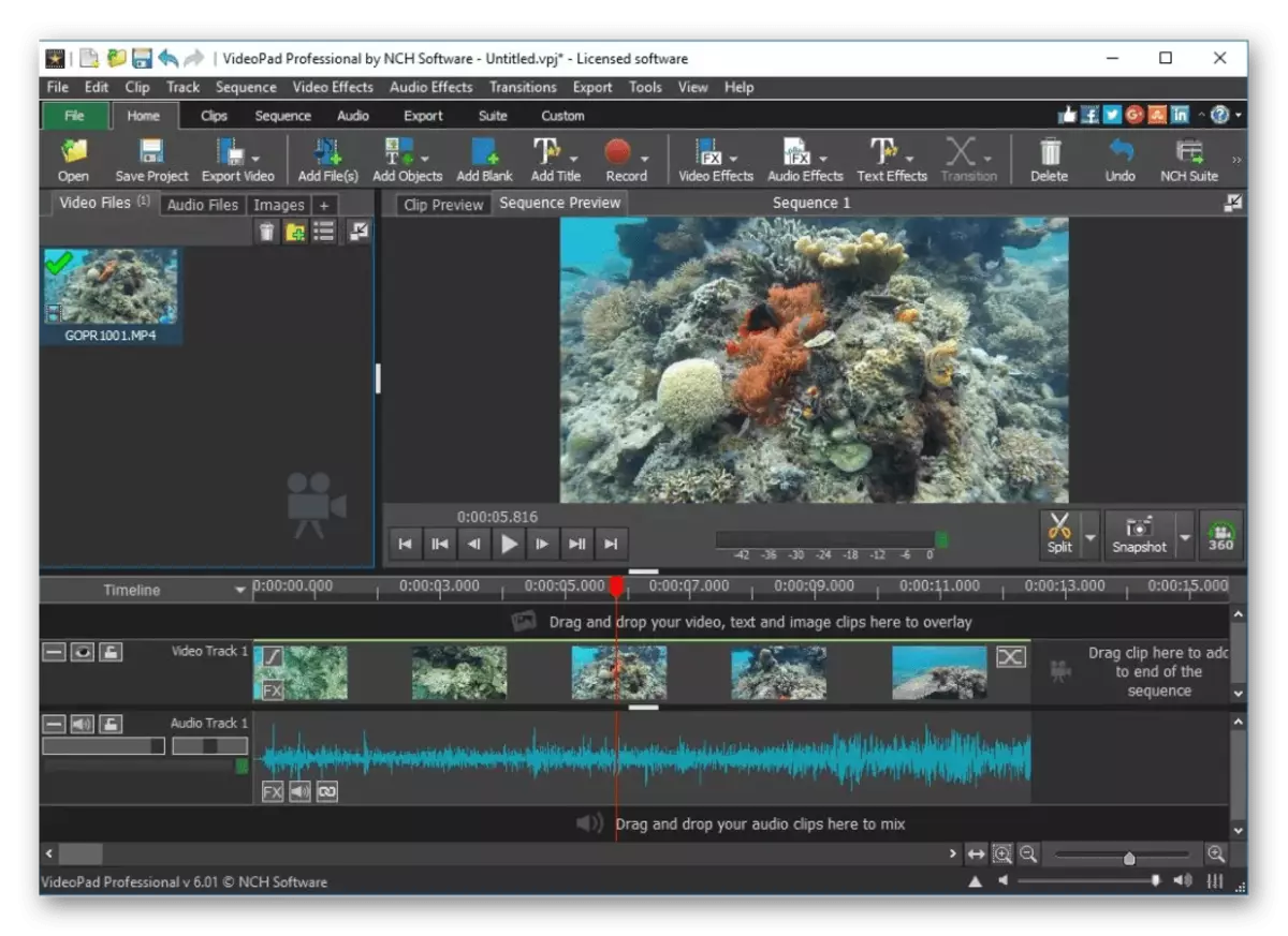 Modifica del video nel software dell'Editor video video