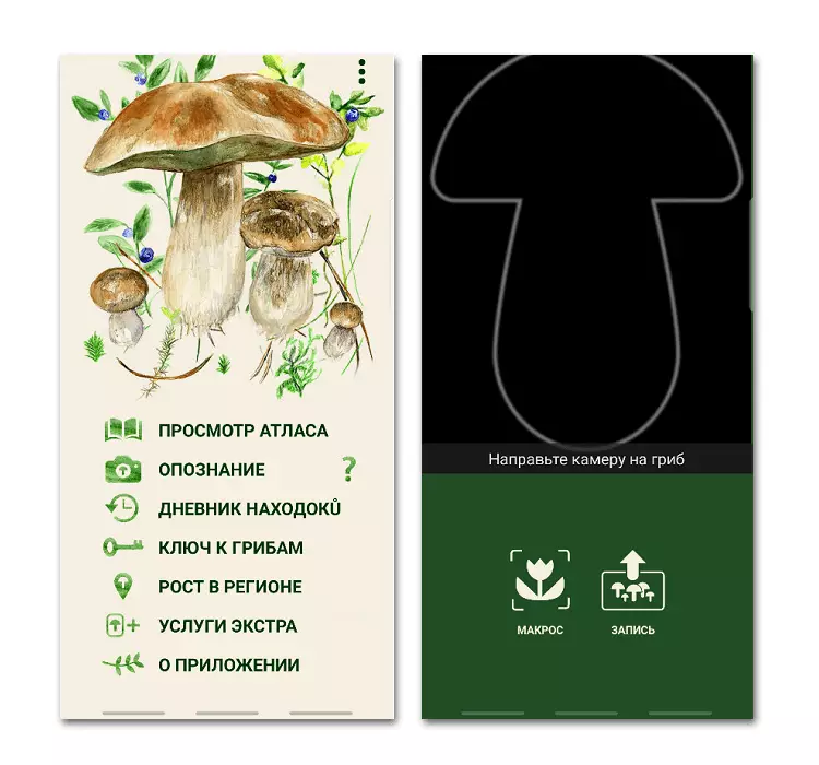 Android Mushroom App