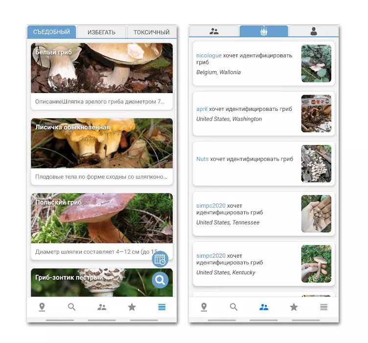 Mushroom identigas aplikon sur Android