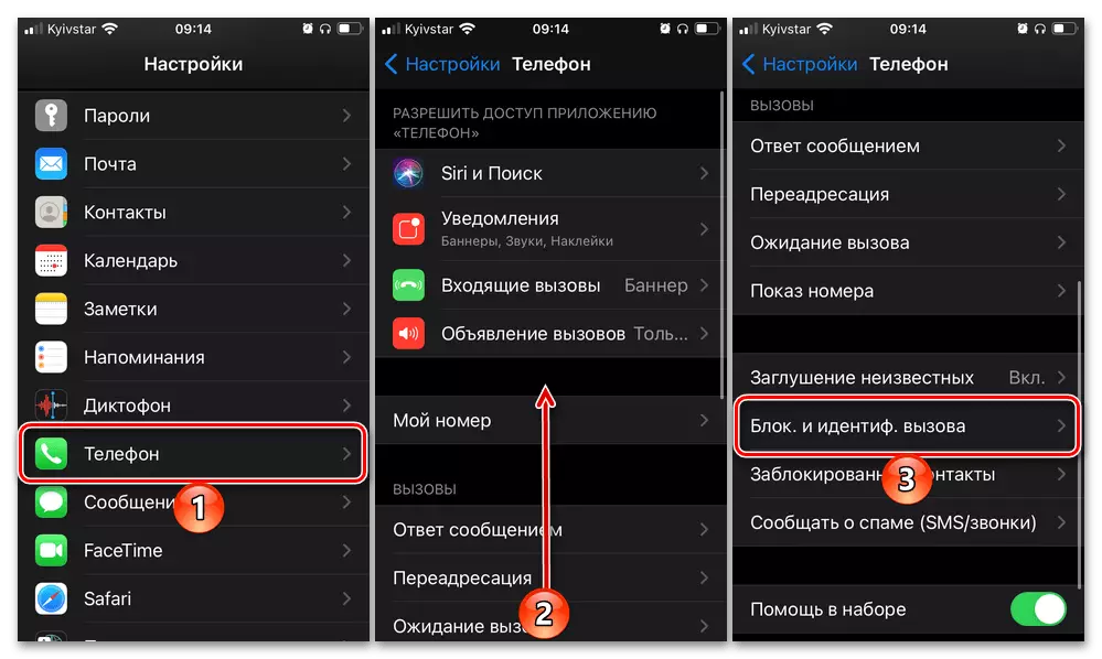 Como habilitar o identificador do número de Yandex en iPhone 221_24