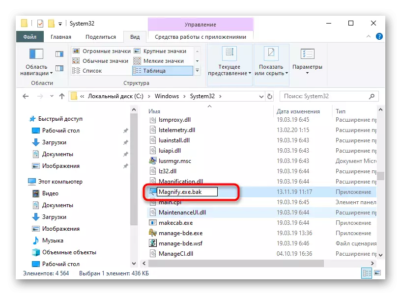 Адключэнне экраннай лупы шляхам змянення файла ў Windows 10