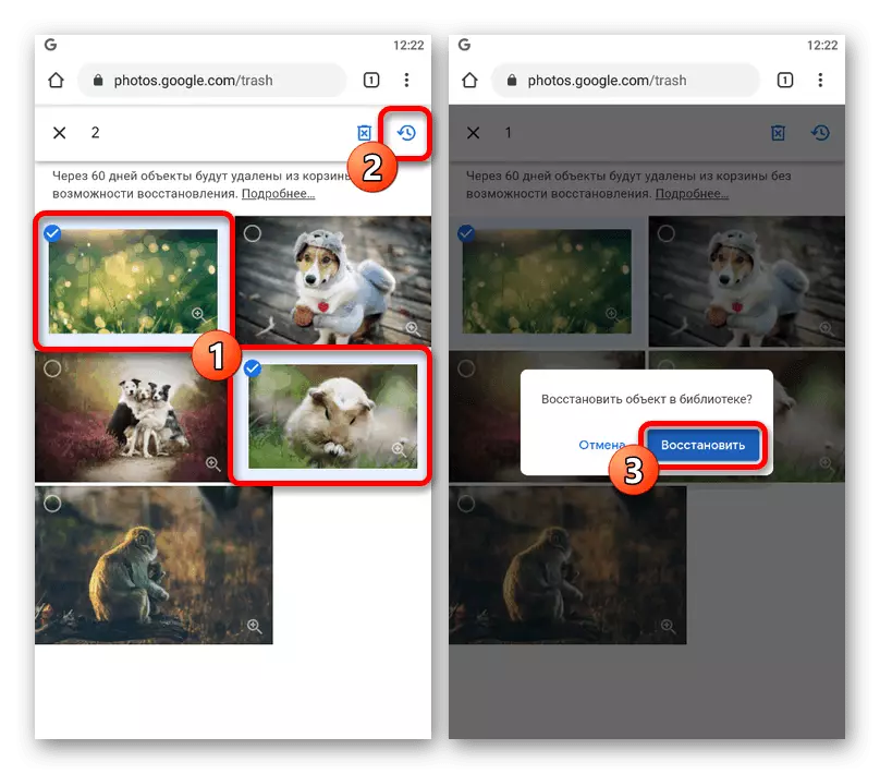 Izolacija slika u korpi na mobilni web verziju Google Fotografije