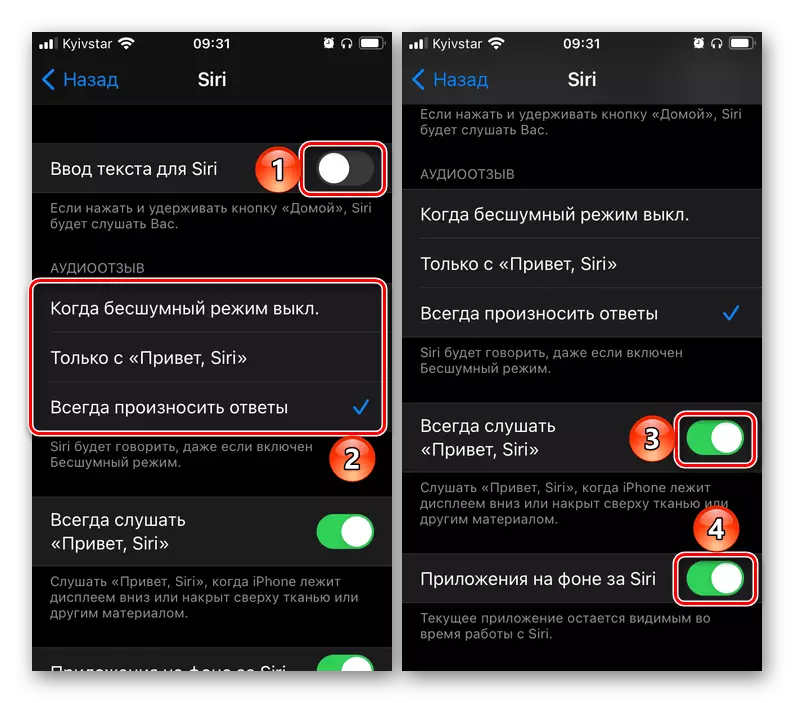 Modifica dei parametri di accesso universale per l'assistente vocale di Siri nelle impostazioni IOS su iPhone
