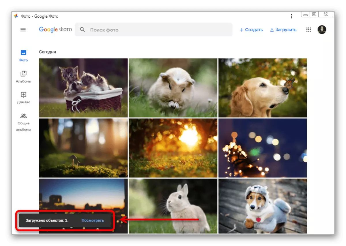 Google फोटोहरूमा गुगल डिस्कबाट छविहरूको लोड गर्दै