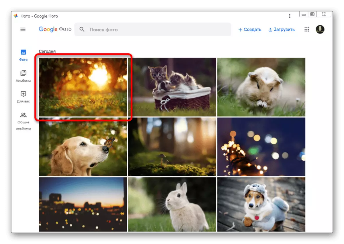 Príklad automatického načítaného súboru na Google Photo