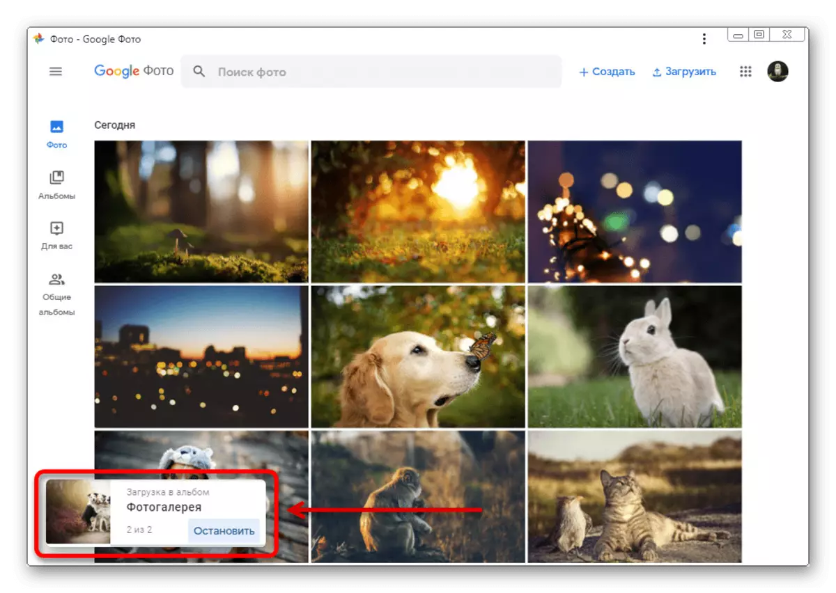Google ಫೋಟೋ ಫೋಟೋದಲ್ಲಿ ಕಂಪ್ಯೂಟರ್ನಿಂದ ಚಿತ್ರಗಳನ್ನು ಲೋಡ್ ಮಾಡುವ ಪ್ರಕ್ರಿಯೆ