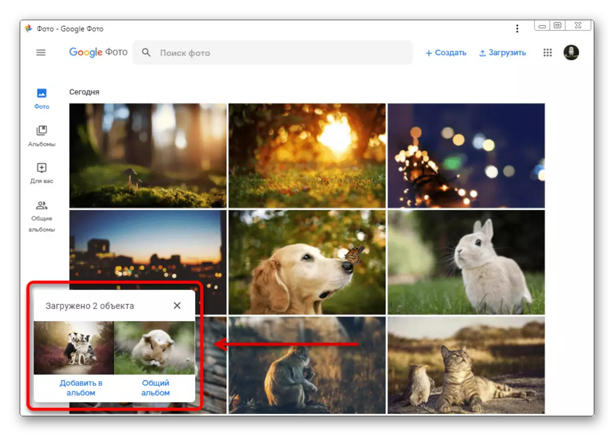 Successful image download from a computer on the Google Photos website