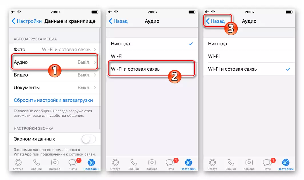 Whatsapp за iPhone Активиране на зареждане на аудио чрез Wi-Fi и клетъчни мрежи за данни